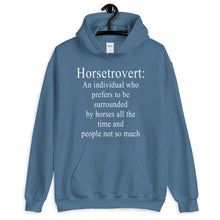 Load image into Gallery viewer, Horsetrovert Unisex Hoodie
