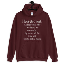 Load image into Gallery viewer, Horsetrovert Unisex Hoodie
